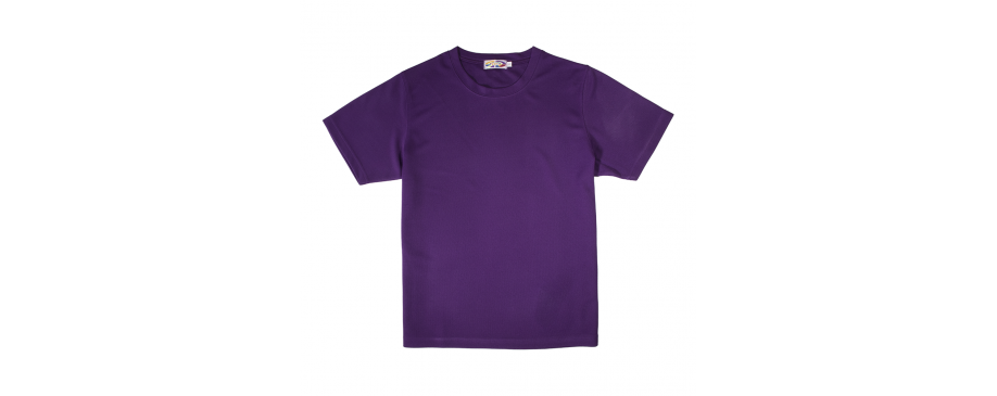 款號001之30 : 透氣短袖 DryFit T-Shirt